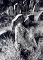 /album/fotogalerie-zidovsky-hrbitov/a02-jpg/